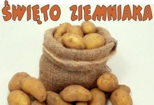 Dzień Ziemniaka czyli bulwowy zawrót głowy